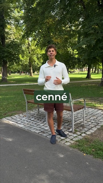 Kolik elektroodpadu se v Lounech nasbírá?